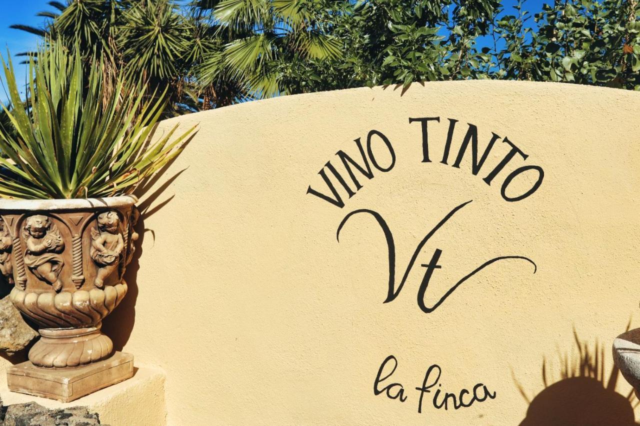 Finca Vino Tinto 2 伊科德·德·洛斯·维诺斯 外观 照片